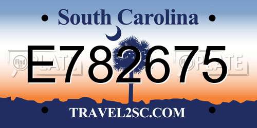 E782675 South Carolina License Plate