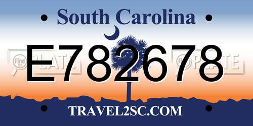 E782678 South Carolina License Plate