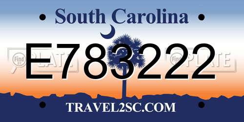 E783222 South Carolina License Plate