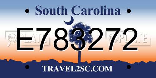 E783272 South Carolina License Plate