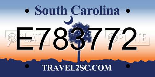 E783772 South Carolina License Plate