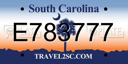 E783777 South Carolina License Plate