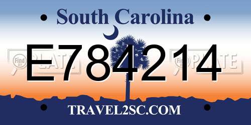 E784214 South Carolina License Plate