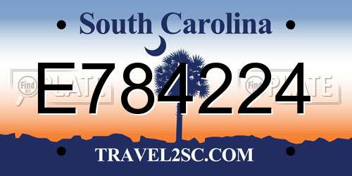 E784224 South Carolina License Plate