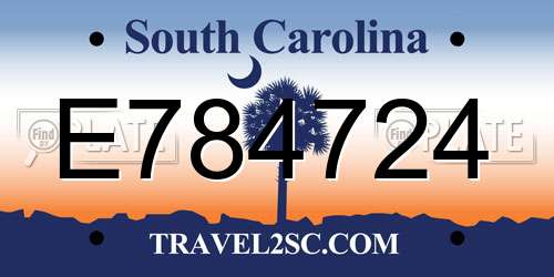 E784724 South Carolina License Plate