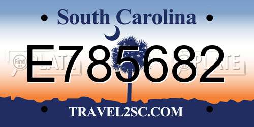 E785682 South Carolina License Plate
