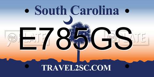 E785GS South Carolina License Plate