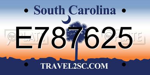 E787625 South Carolina License Plate