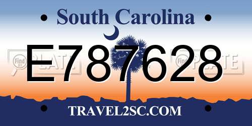 E787628 South Carolina License Plate