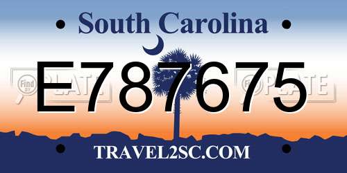 E787675 South Carolina License Plate