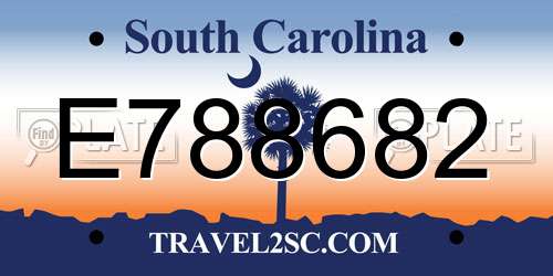 E788682 South Carolina License Plate