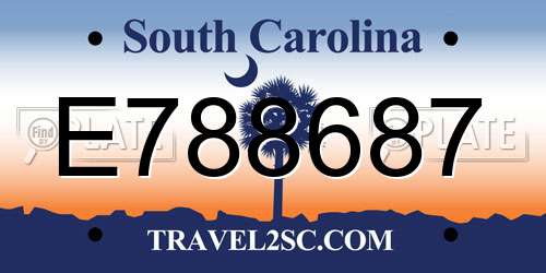 E788687 South Carolina License Plate