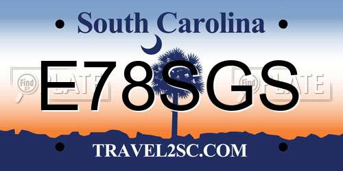 E78SGS South Carolina License Plate
