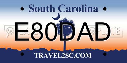 E80DAD South Carolina License Plate