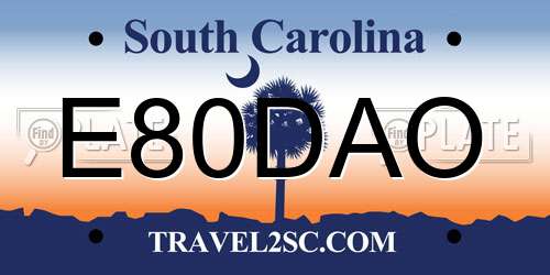E80DAO South Carolina License Plate