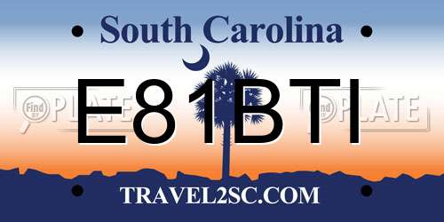 E81BTI South Carolina License Plate