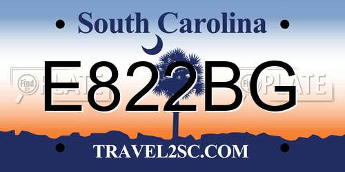 E822BG South Carolina License Plate