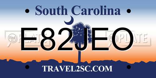 E82JEO South Carolina License Plate