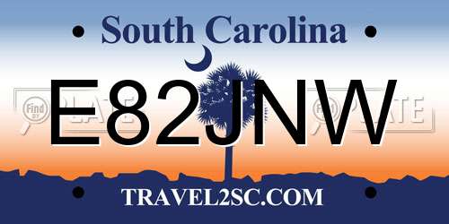 E82JNW South Carolina License Plate