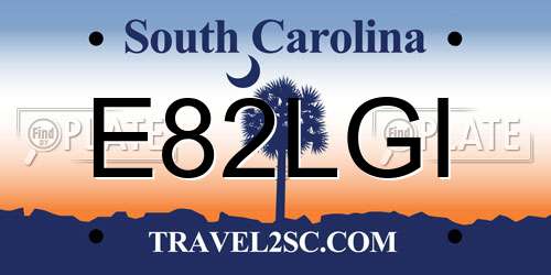 E82LGI South Carolina License Plate