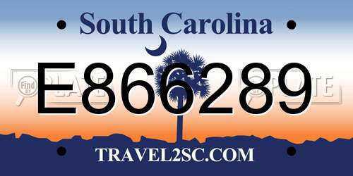 E866289 South Carolina License Plate