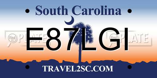 E87LGI South Carolina License Plate