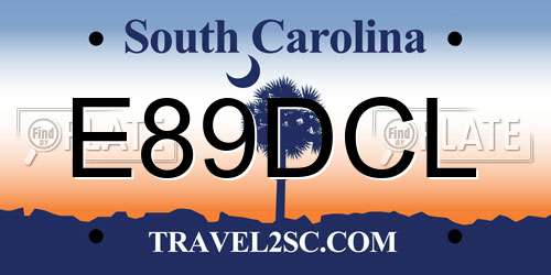 E89DCL South Carolina License Plate