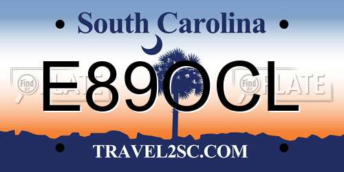 E89OCL South Carolina License Plate