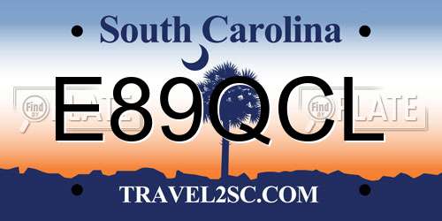 E89QCL South Carolina License Plate