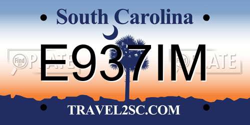 E937IM South Carolina License Plate