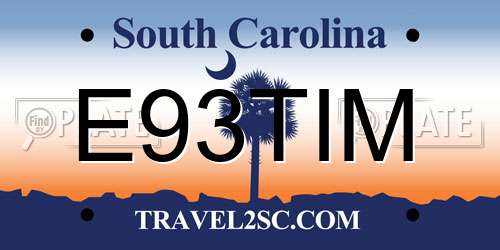E93TIM South Carolina License Plate