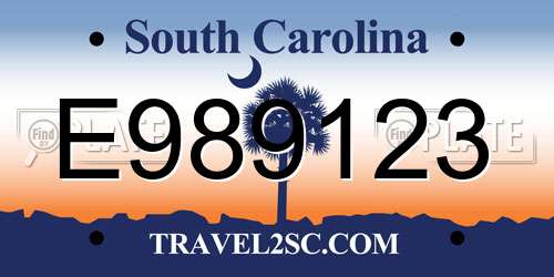 E989123 South Carolina License Plate