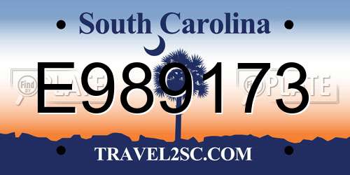 E989173 South Carolina License Plate