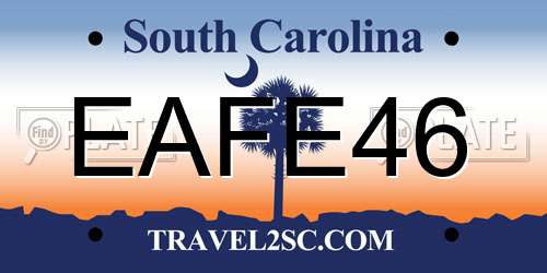 EAFE46 South Carolina License Plate