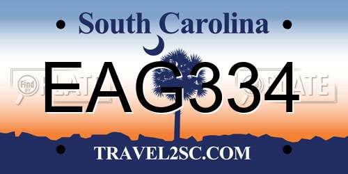 EAG334 South Carolina License Plate