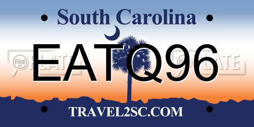 EATQ96 South Carolina License Plate
