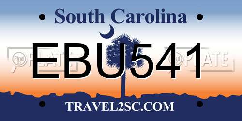 EBU541 South Carolina License Plate
