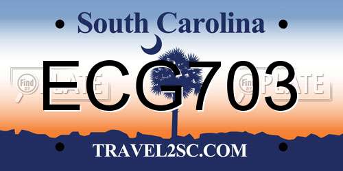 ECG703 South Carolina License Plate