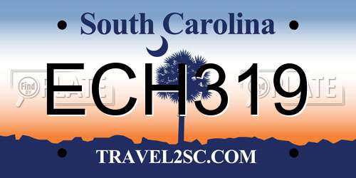 ECH319 South Carolina License Plate