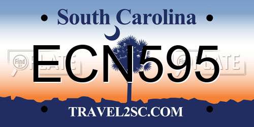 ECN595 South Carolina License Plate