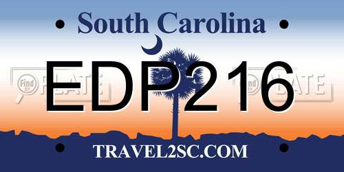 EDP216 South Carolina License Plate