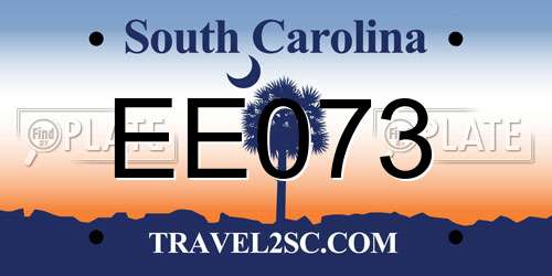 EE073 South Carolina License Plate