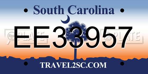 EE33957 South Carolina License Plate