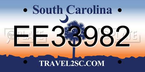 EE33982 South Carolina License Plate