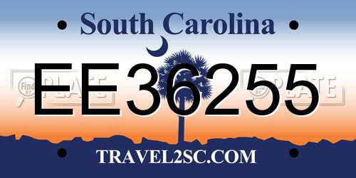 EE36255 South Carolina License Plate