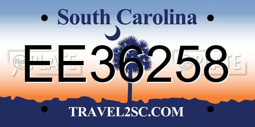 EE36258 South Carolina License Plate