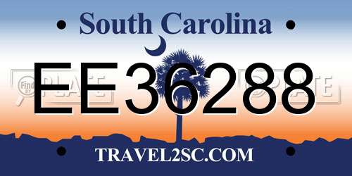 EE36288 South Carolina License Plate