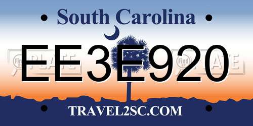 EE3E920 South Carolina License Plate