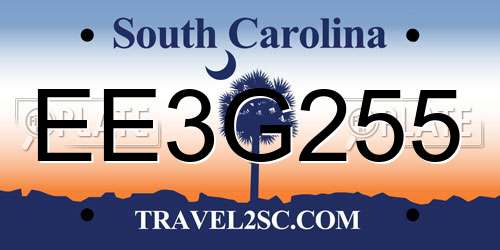 EE3G255 South Carolina License Plate