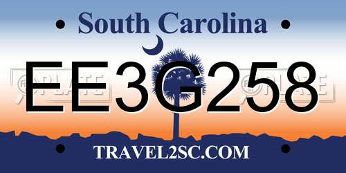 EE3G258 South Carolina License Plate